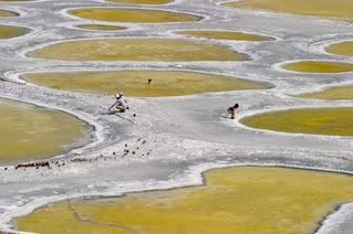 The Spotted Lake 1596394314_a0006381ec_o