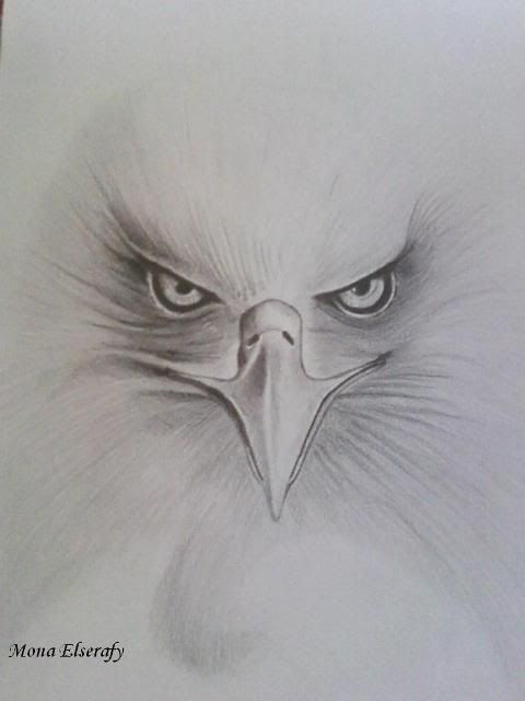 رسوماتتتتتت Photo-071