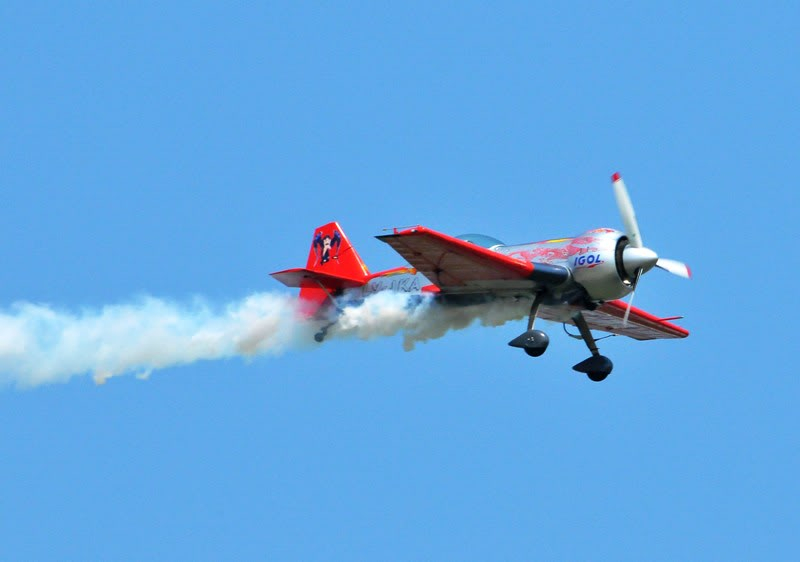 Otopeni AIR SHOW 2010 - Pagina 11 RRY_5328