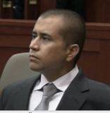Library: Trayvon Martin Case Documents Pottedpalm
