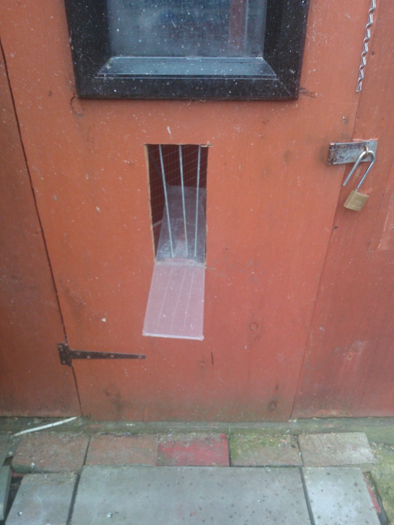 anti cat flap Temporary-10