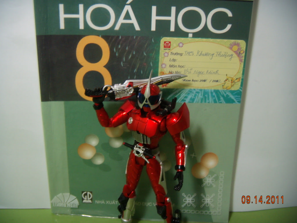 S.H.Figuarts Kamen Rider Accel DSCN4000