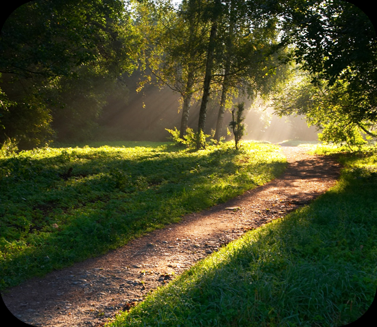 Camino Camino