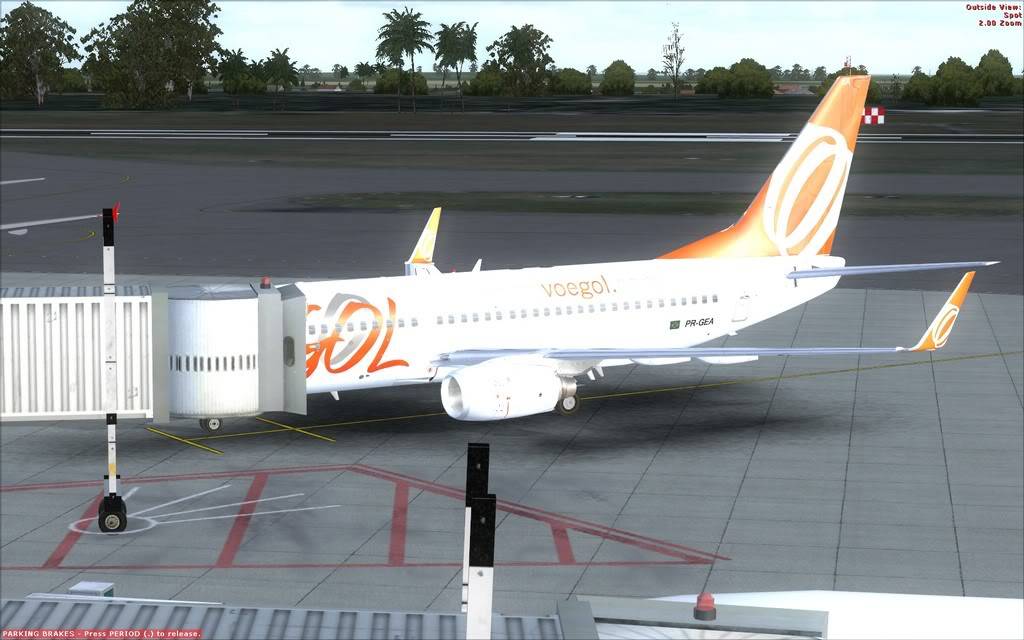 [FSX] SBRF-SBSV CASANOVA-2011-mar-2-029