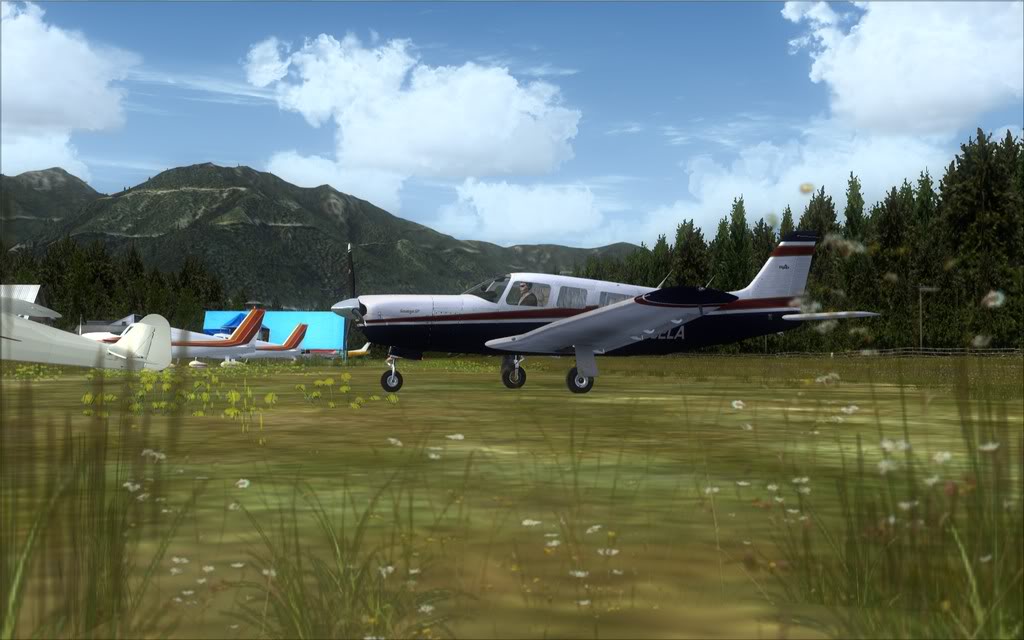 [FSX] Vashon - Cushman Meadows Enb2011_5_18_21_0_11