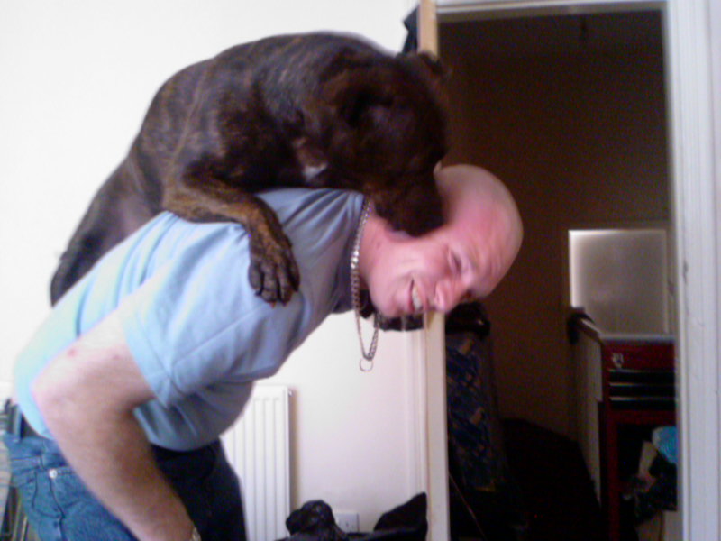 Wanted you and your staffy hugging - Page 2 Gettindad