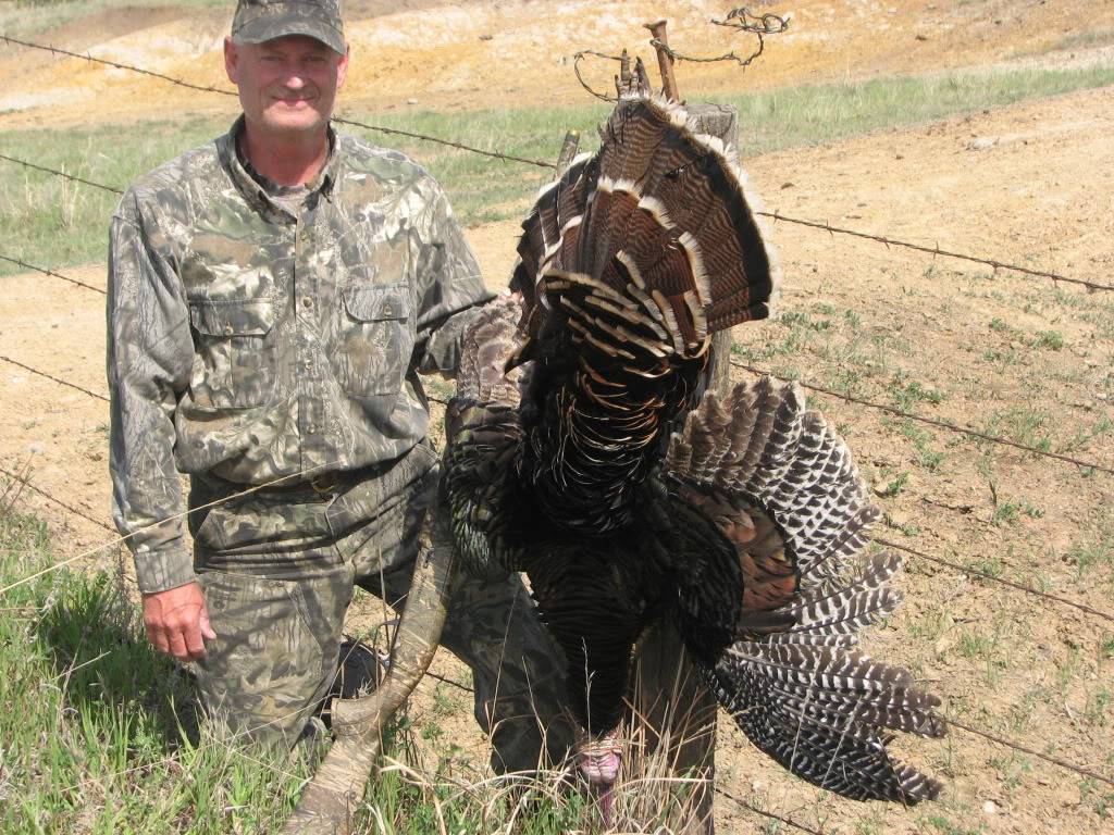 Talking Turkey KansasMay2011014