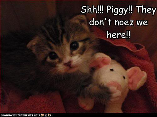 Photos for the whining people - Page 2 Funny-pictures-kitten-is-scared