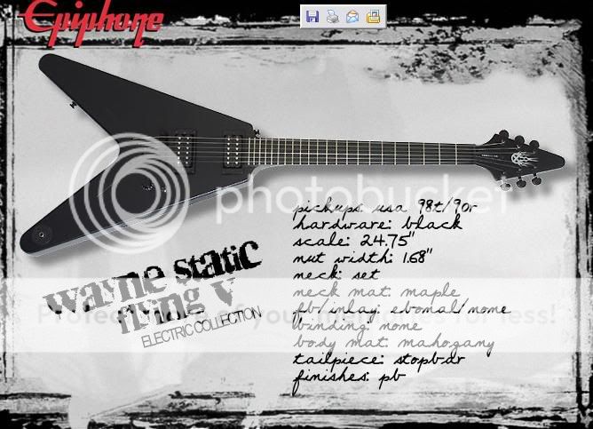 ¤ Histoire de jolie guitares ¤ Wayne