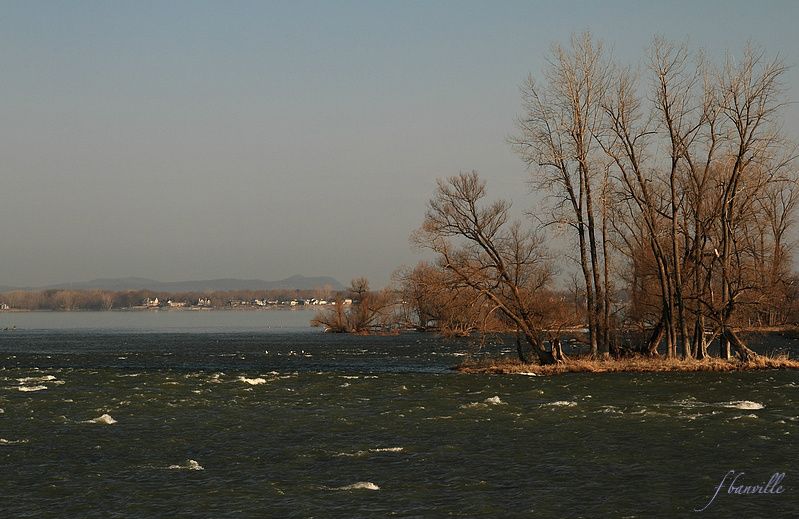 Matinée à Chambly (rivière Richelieu) IMG_0358