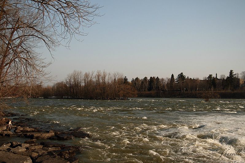 Matinée à Chambly (rivière Richelieu) IMG_0418