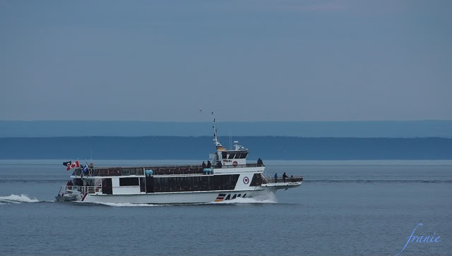 Petite croisière Baie Ste-Catherine / Tadoussac Vacances2010120