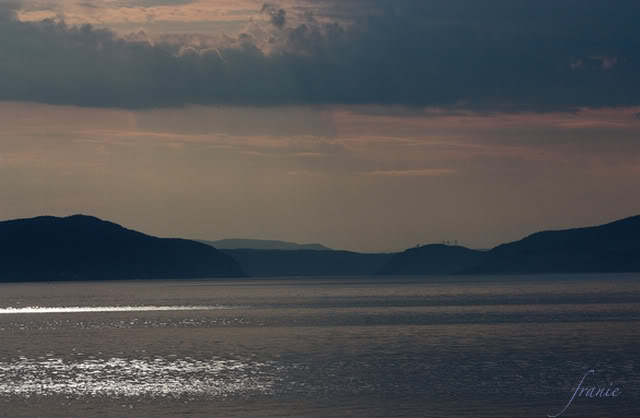 Petite croisière Baie Ste-Catherine / Tadoussac Vacances2010377