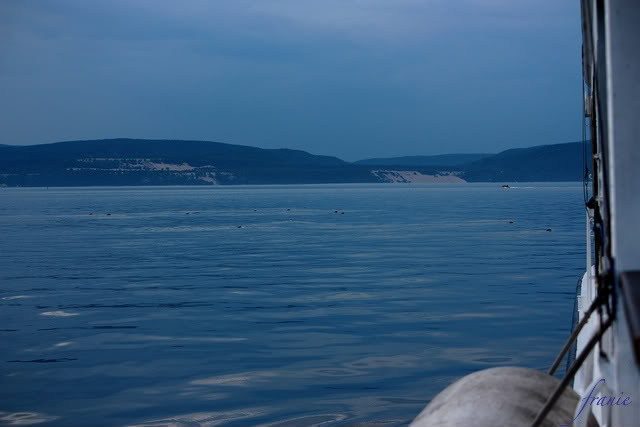 Petite croisière Baie Ste-Catherine / Tadoussac Vacances2010380