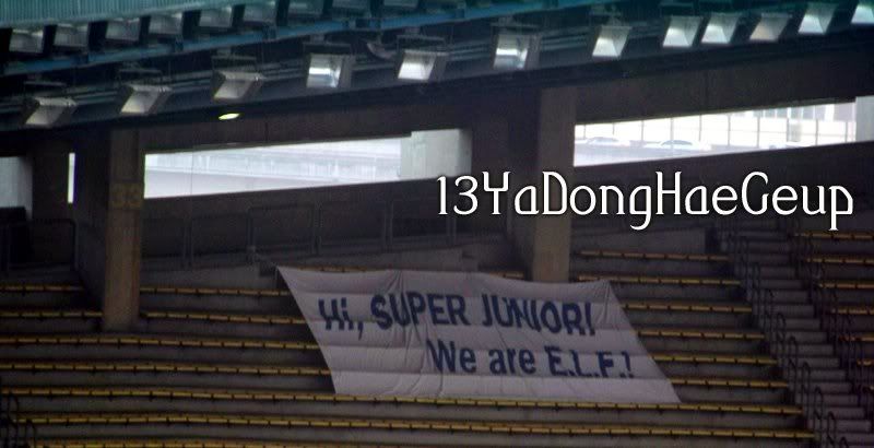 [PIX+GIF] 080607 ELF at Dream Concert Elf20