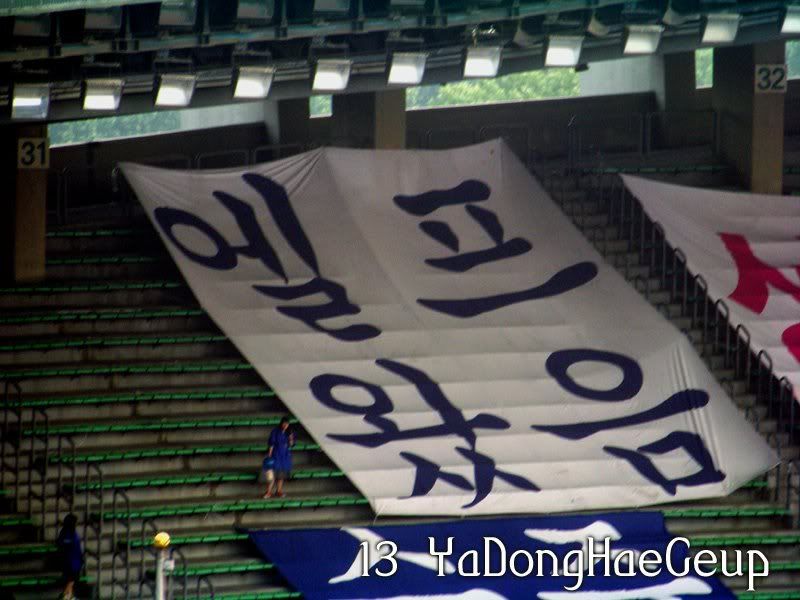 [PIX+GIF] 080607 ELF at Dream Concert Elf21