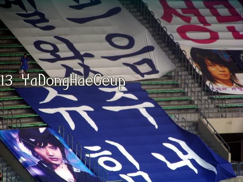 [PIX+GIF] 080607 ELF at Dream Concert Elf22