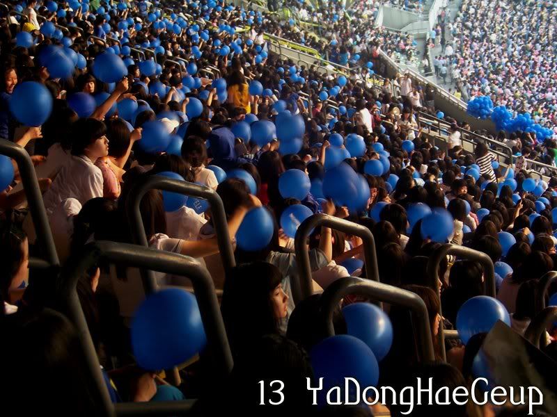 [PIX+GIF] 080607 ELF at Dream Concert Elf5