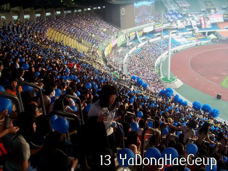 [PIX+GIF] 080607 ELF at Dream Concert Elf8