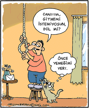 pinoky ve birkaç karikatür :D 2001_02_24