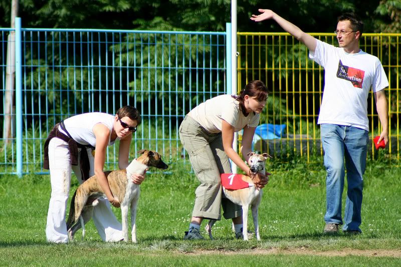 LURE COURSING(dobra strana utrka) IMG_4057