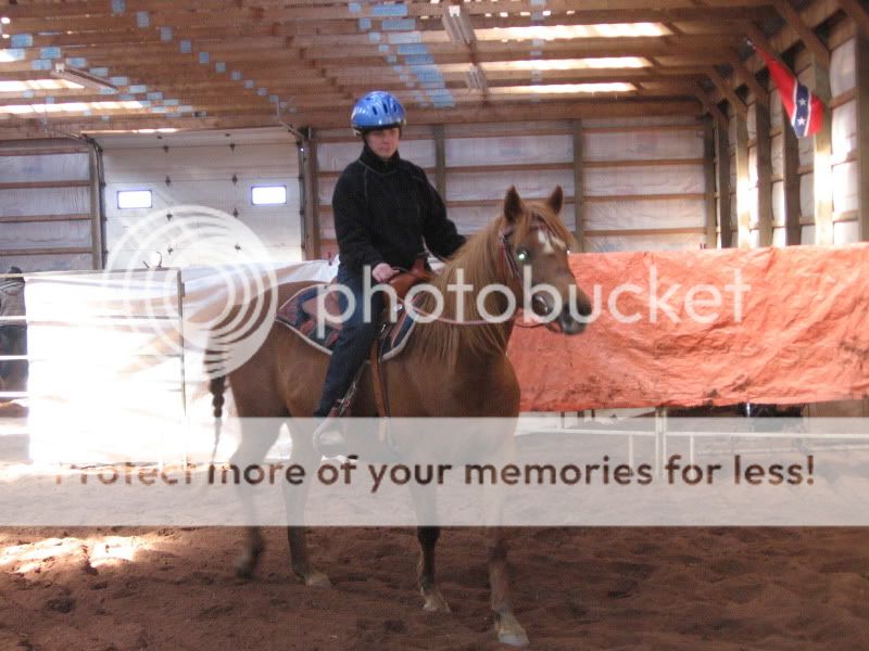 SOme Pictures from the Penning Clinic, Truro horse fair and my ponie Picture002