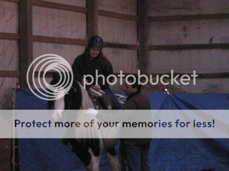 SOme Pictures from the Penning Clinic, Truro horse fair and my ponie Picture011