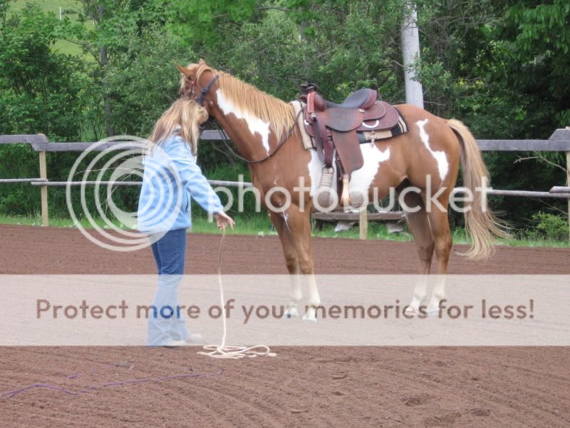 Mister and Mare and a few odds from penning... Lots of Pictures.. Picture003