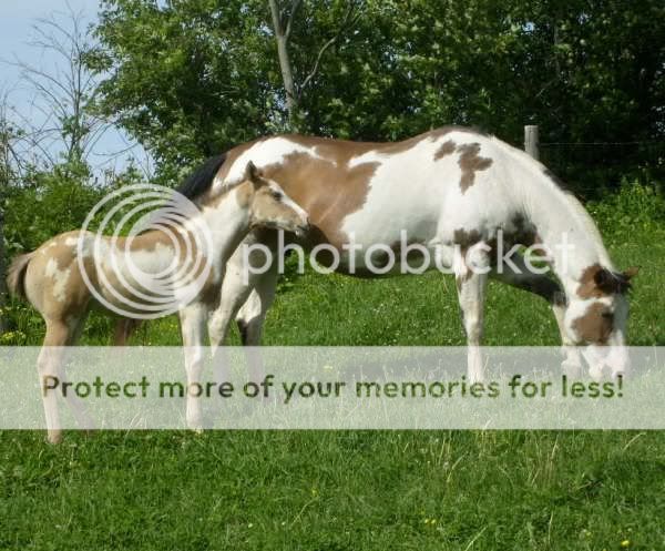 Simmi and family from FVP farms SummweBreeze