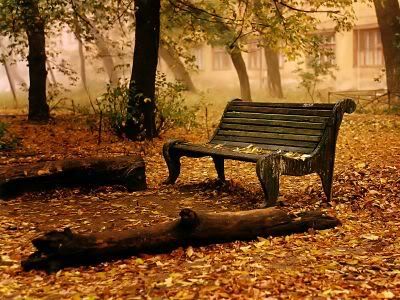 LA BELLEZA DE UNA IMAGEN Old_Bench_1600