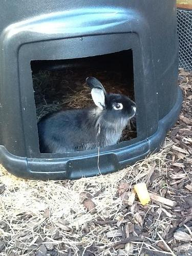 Topsy and Tim, bonded pair, Tyne and Wear Topsy