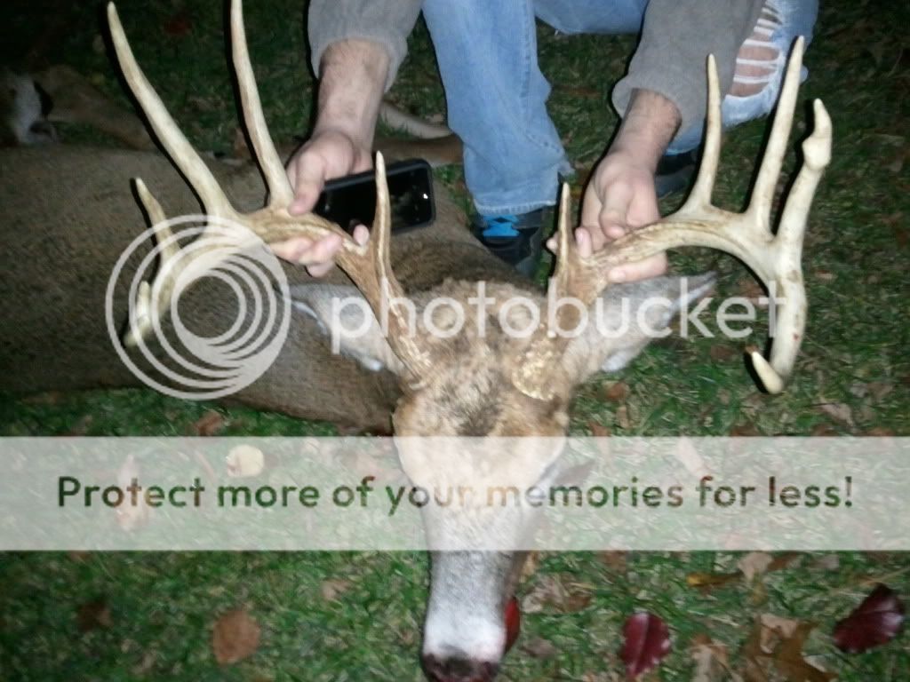 my 2011 buck My11point