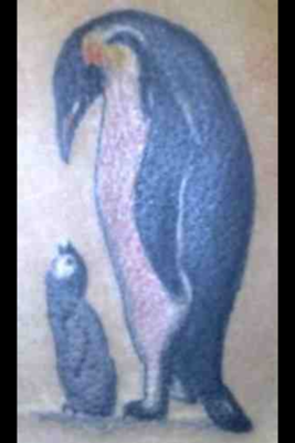 tattoo - Tattoo Pictures - Page 2 Penguin