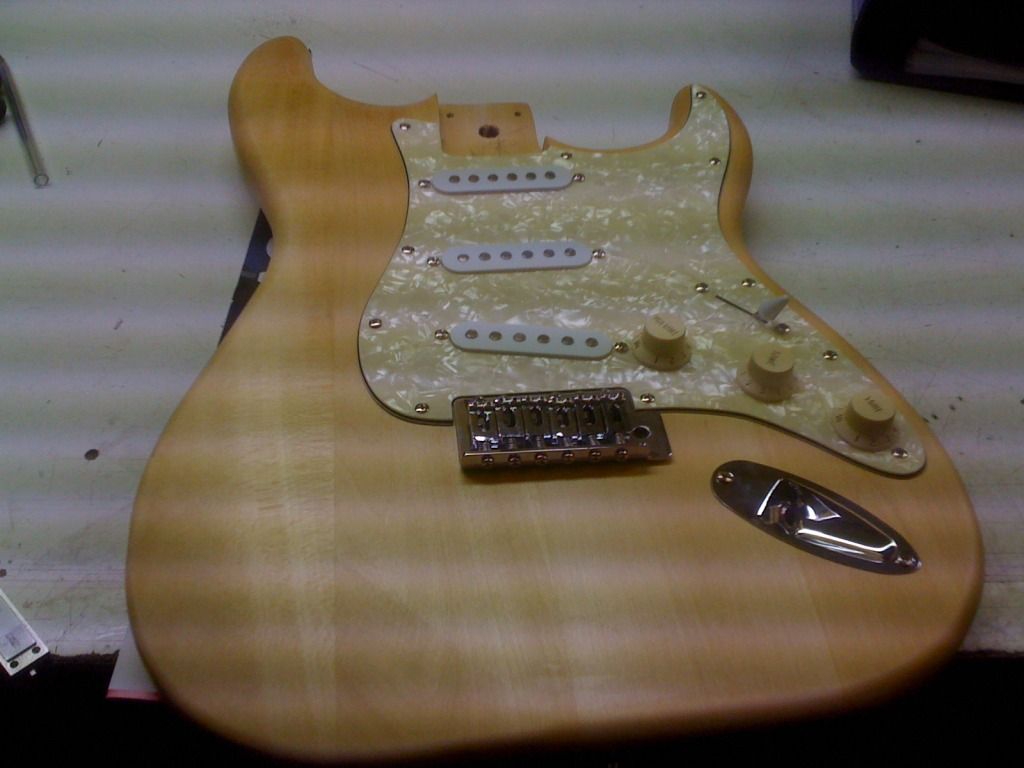 STRATOCASTER KIT BUILD CUSTOM IMG_0249