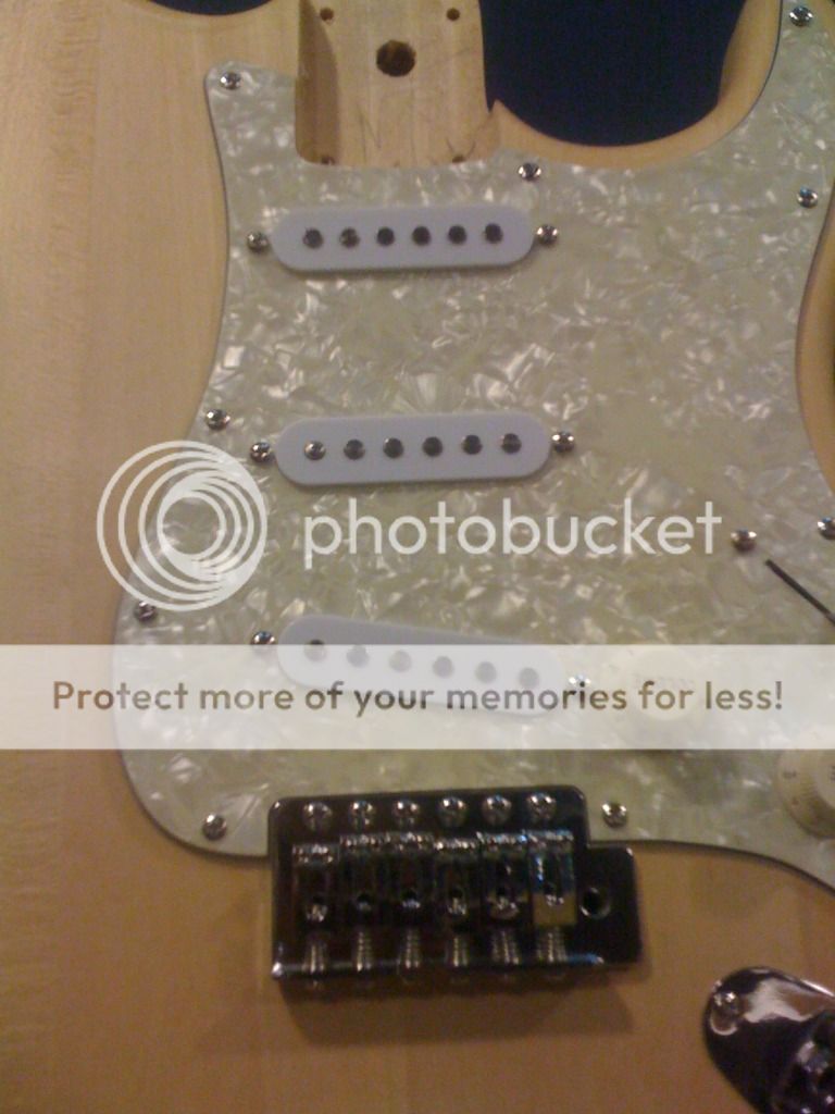 STRATOCASTER KIT BUILD CUSTOM IMG_0260