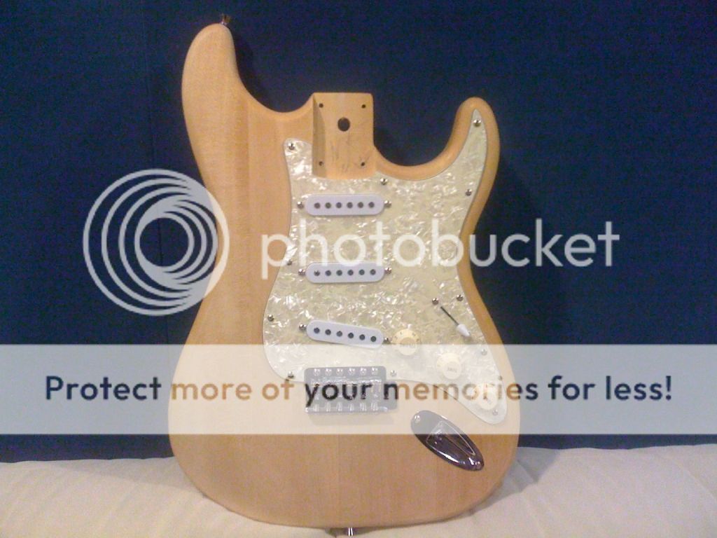 STRATOCASTER KIT BUILD CUSTOM IMG_0262