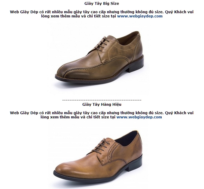 Giày dép - Giày tây công sở, hàng xuất khẩu: Đẹp, nhẹ và êm chân Giay01_zps56cd0e1d