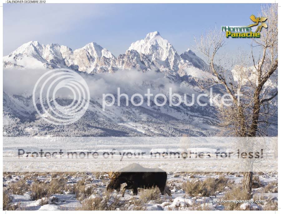 Calendrier 2012 Magnifique photo et tirage. RealCalPhotoDcembre2012