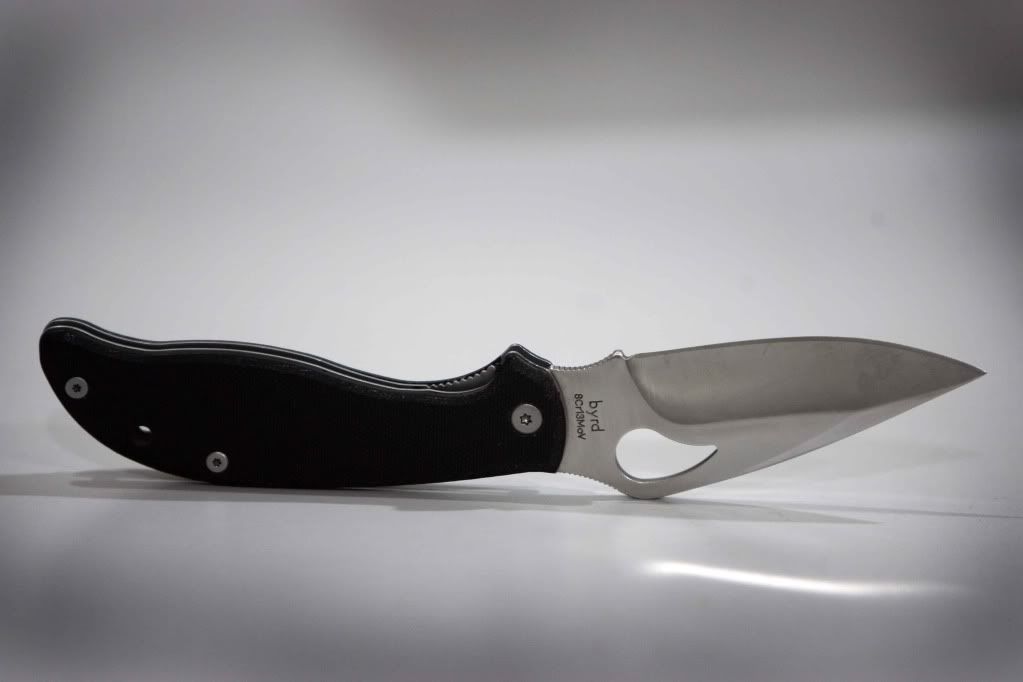 FOR SALE: Spyderco Raven Byrd Folding Knife 20110917_NPPA-MFA_000036819