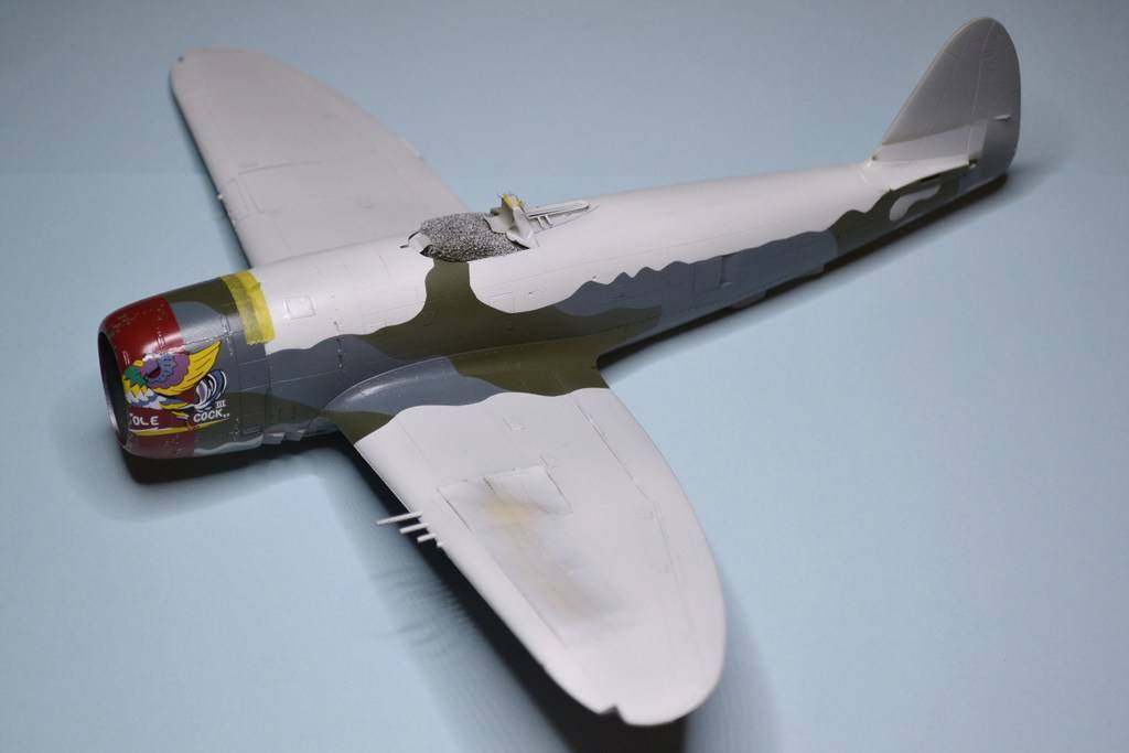 P47D-25 1/48 EDUARD - Page 2 DSC_0010_zpsowrebptf