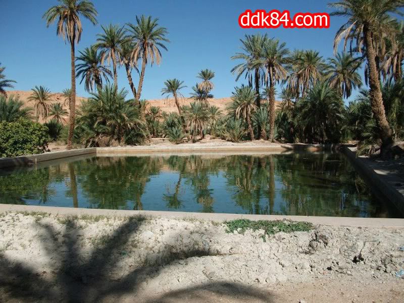 ألبوم صور 48 ولاية Bechar--20