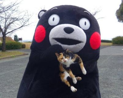 [Neko Cafe] 14 Đảo dành cho những người yêu mèo của Nhật Bản 9aaea354