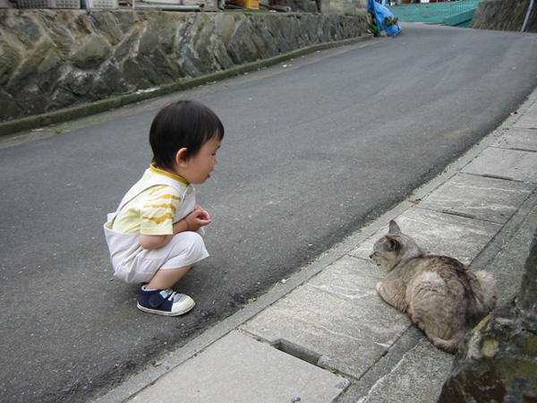 [Neko Cafe] Đảo Tashirojima - Vương quốc của loài mèo Dao-meo-11