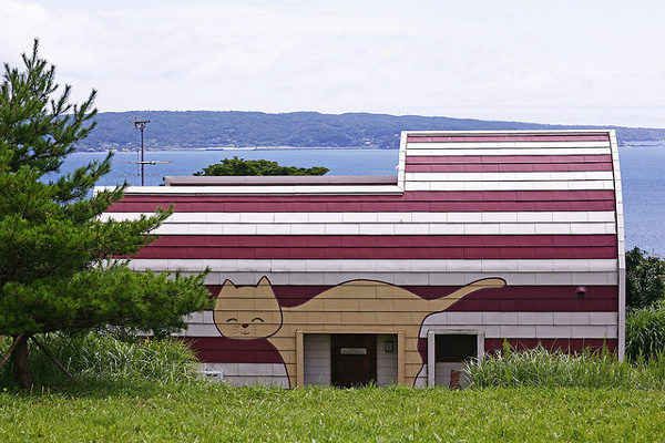 [Neko Cafe] Đảo Tashirojima - Vương quốc của loài mèo Dao-meo-3