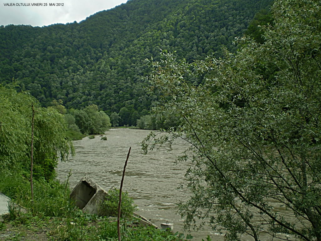 Poze din România P1010272