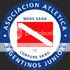 ALGUNOS ICONOS ANTIGUOS Argentinosjuniorsk