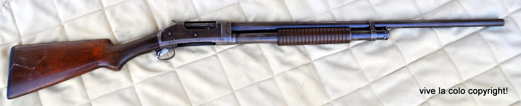 Winchester M1897 Trench Gun DSC_0558