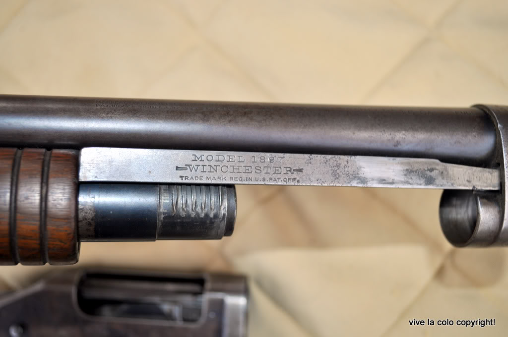 Winchester M1897 Trench Gun - Page 2 DSC_0588