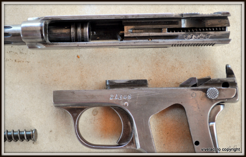 Model 1908 .25 Hammerless Pocket Automatic DSC_0840
