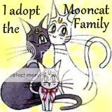 Sailor Moon Mooncats